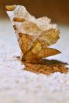 Selenia lunularia
